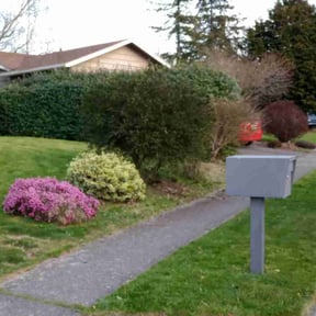 Bush Trimming by Winters&#039; End Landscaping reviewed on November 20, 2025