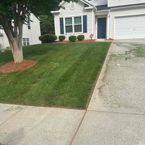 Bush Trimming by Lawn&Order reviewed on August 20, 2025