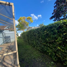 Bush Trimming by Hughey's Landscaping and Snow Removal LLC reviewed on August 15, 2025