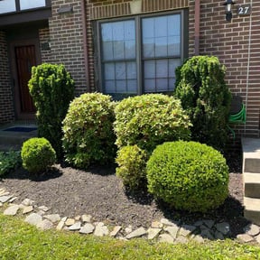 Bush Trimming by Betty Lawn Care reviewed on August 21, 2025