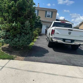 Bush Trimming by Edge Lawn and Landscape reviewed on July 24, 2026
