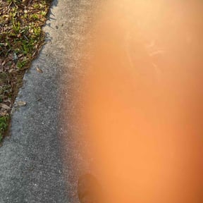 Bush Trimming by Santos Benites Landscaping LLC reviewed on August 15, 2025