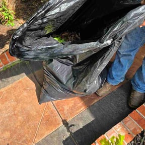Flower Bed Weeding by Jeremy lawn reviewed on July 23, 2026