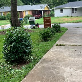 Bush Trimming by Twiggs Complete Lawn reviewed on August 17, 2025