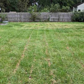 Bush Trimming by Sons bros and I lawn service reviewed on August 15, 2025