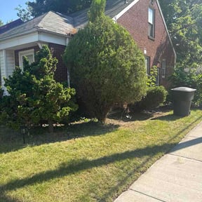 Bush Trimming by Scott's Landscape and pool service reviewed on August 2, 2026