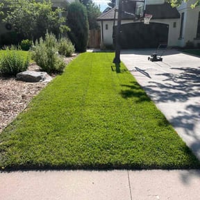 landscaping by nathaniel baker reviewed on August 20, 2025