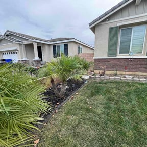 Bush Trimming by Mondragon landscaping reviewed on December 23, 2025