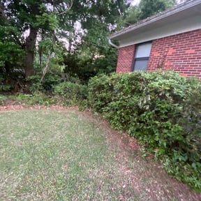 Bush Trimming by Creative Edge lawn & Landscape reviewed on August 16, 2025