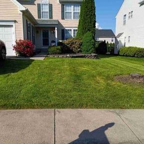 turf maintenance by Quinn&#039;s lawncare reviewed on May 14, 2024