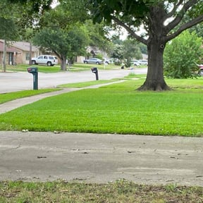 grass maintenance by Widow Lawn Care reviewed on October 14, 2023