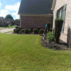Bush Trimming by A and L lawn Care Professionals reviewed on August 17, 2025