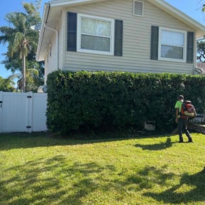 Bush Trimming by Tex Star property services reviewed on August 21, 2025