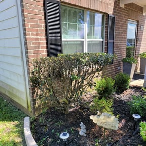 Bush Trimming by J Jr’s Lawn Maintenance reviewed on August 18, 2025