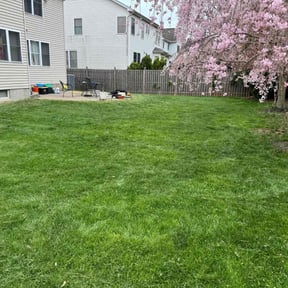 landscaping services by Avon Landscaping LLC reviewed on August 21, 2025