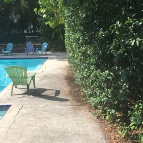 Bush Trimming by A Team Lawncare reviewed on August 20, 2025