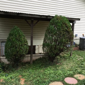 Bush Trimming by Awesome landscaping reviewed on August 19, 2025
