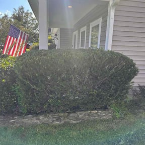 Bush Trimming by B&amp;SS reviewed on November 24, 2025