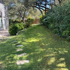 landscaping by Acorn Lawn Service reviewed on August 17, 2025