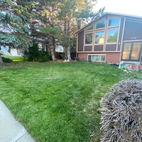 residential landscaping by Dan's Lawn Service reviewed on August 21, 2025