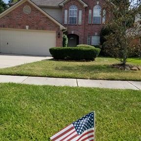 Bush Trimming by Palmetto Landscaping, LLC reviewed on August 17, 2025