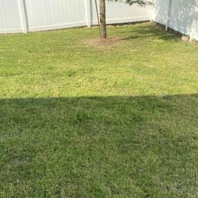 landscape maintenance by Lou Tel Landscaping and Design reviewed on August 18, 2025