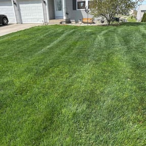 grass maintenance by The Kadyebo way reviewed on August 16, 2025