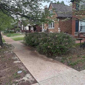 Leaf Removal by Maximum Lawn Care reviewed on April 15, 2026