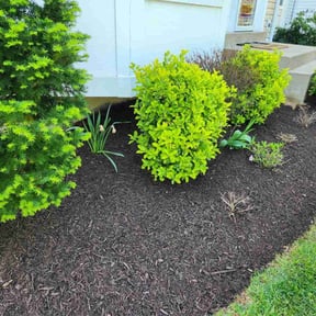 Mulching by Discount Mowing reviewed on August 21, 2025