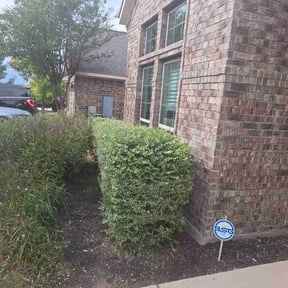 Bush Trimming by L&amp;S Lawnservice reviewed on October 23, 2025