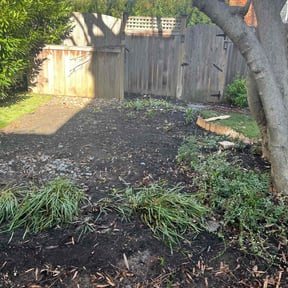 Leaf Removal by 100% Landcare reviewed on September 23, 2025