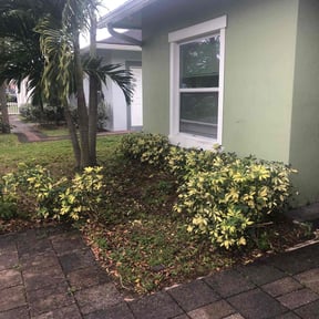 Bush Trimming by Zachs tree & lawncare LLC reviewed on August 21, 2025