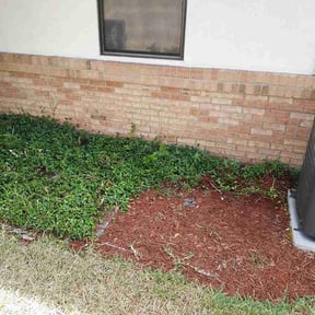 Flower Bed Weeding by Priority One Recycling &amp; Services reviewed on August 11, 2025