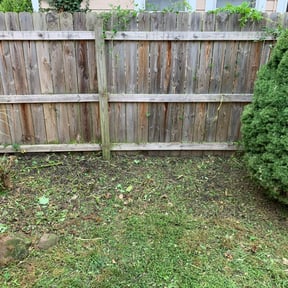 Bush Trimming by Lawn Care Solutions reviewed on August 16, 2025