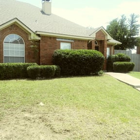 Bush Trimming by Diamondcutz Lawncare reviewed on August 18, 2025