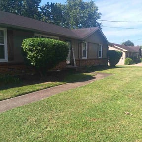 Bush Trimming by AV Lawn Care reviewed on August 21, 2025