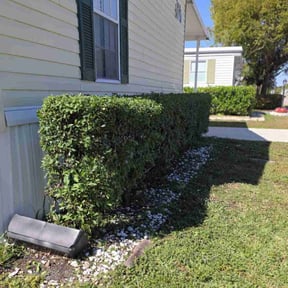 Bush Trimming by Dura Yard Service reviewed on August 18, 2025