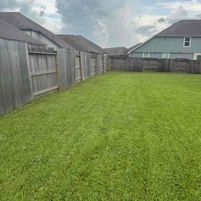 yard work by Allens lawncare LLC  reviewed on December 10, 2025