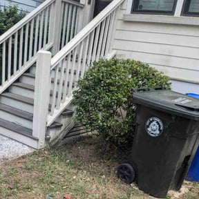 Bush Trimming by The Maintenance Department LLC reviewed on August 17, 2025
