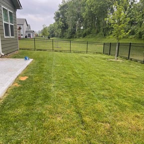 yard maintenance by Cut Blow and Go Lawn Service, Inc. reviewed on August 19, 2025