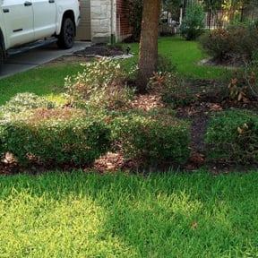 Bush Trimming by La Exelencia Landscaping reviewed on August 18, 2025