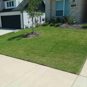landscape maintenance by Precision Landscaping & more reviewed on August 19, 2025