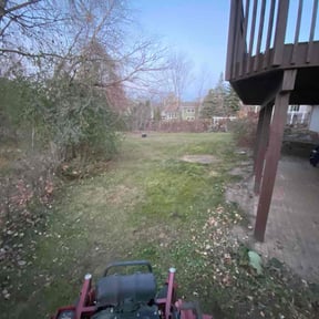 Leaf Removal by Gaston Lawnmowing reviewed on November 24, 2025