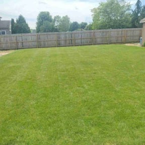 lawn service by Aries Lawn Care, LLC reviewed on July 24, 2025