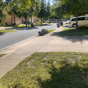 Leaf Removal by JC's Lawn Care Service reviewed on September 22, 2025