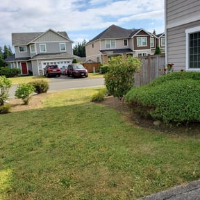Bush Trimming by Green Is Growth reviewed on August 15, 2025