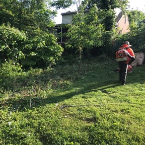 Bush Trimming by A Closer Look Residential Inspections LLC reviewed on August 21, 2025