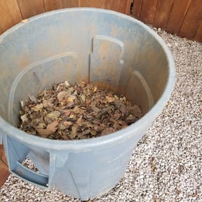 Leaf Removal by C&Cgrasscutters reviewed on August 17, 2025