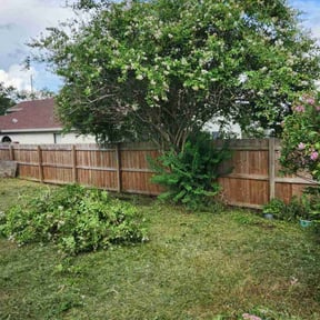 Bush Trimming by Lawncare Recovery and landscape LLC reviewed on August 20, 2025