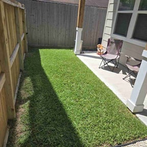 grass maintenance by Omar Norris reviewed on April 9, 2024